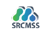 SRC-MSS